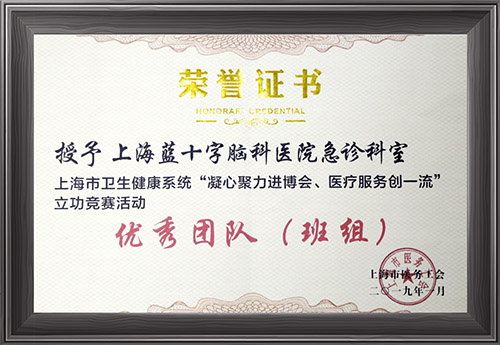 荣誉| 蓝十字急诊科荣获市卫健系统 “凝心聚力进博会、医疗服务创一流”立功竞赛活动优秀团队称号