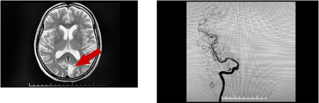 ���Ƽ�鷢�ֹ����Ͷ�����