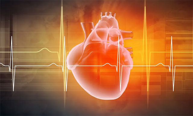 �����������ּ��������ಡ��Ϊ����